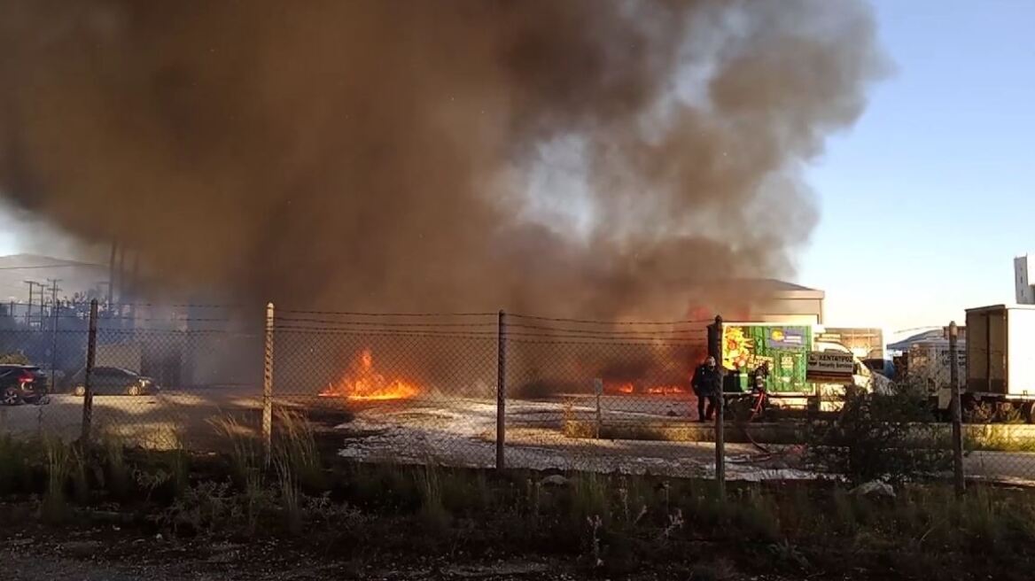 Μεγάλη πυρκαγιά σε εργοστάσιο στην ΒΙΠΕ Βόλου – Δείτε βίντεο