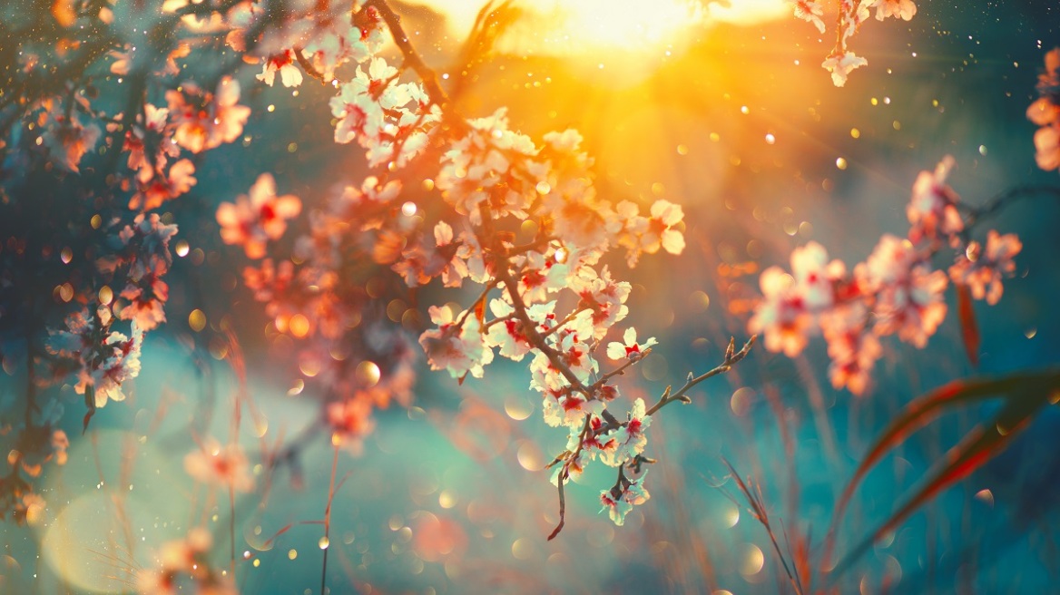 Καιρός: Αίθριος με μικρή άνοδο της θερμοκρασίας