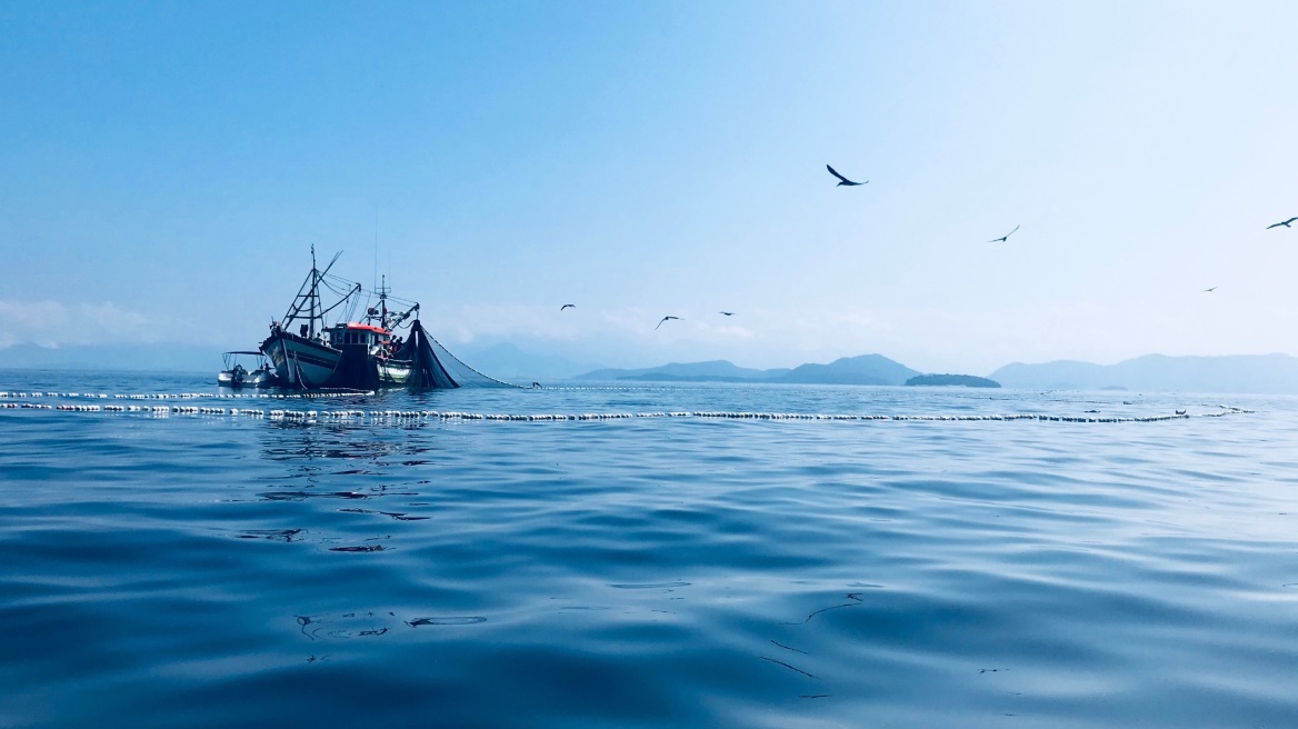 Βουλγαρία: Γέμισαν χτένια οι ακτές στη Μαύρη Θάλασσα μετά από 5.000 χρόνια!