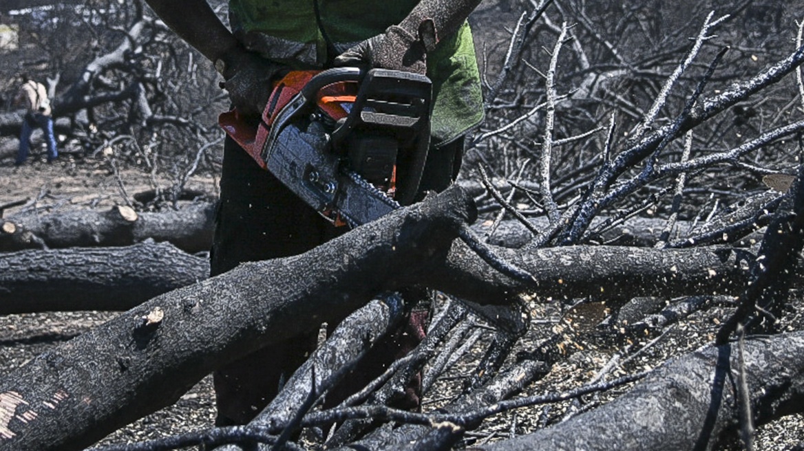 Χανιά: Ο 35χρονος έκοβε ξύλα όταν του έφυγε το αλυσοπρίονο και έκοψε τον λαιμό του