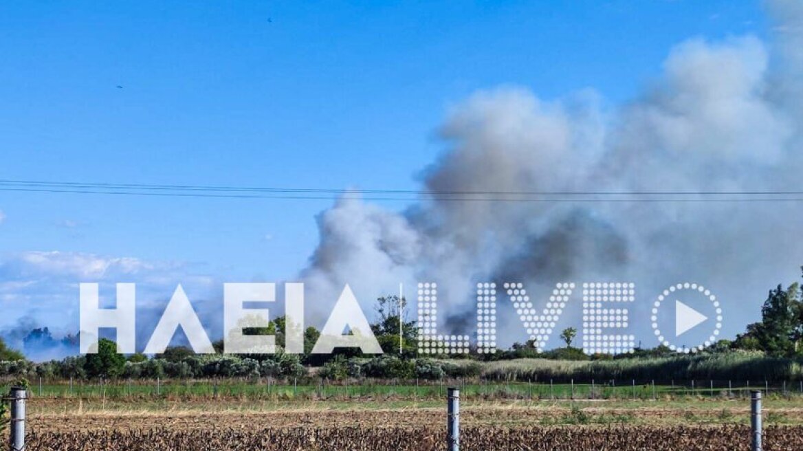 Πυροσβεστική: Οριοθετήθηκαν οι φωτιές σε Ηλεία και Κέρκυρα