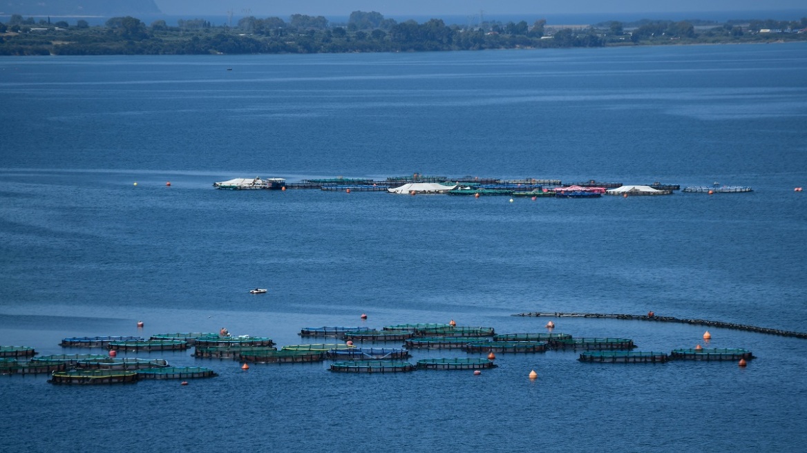 Χίος: Νεκρός βρέθηκε 52χρονος σε ιχθυοκαλλιέργεια
