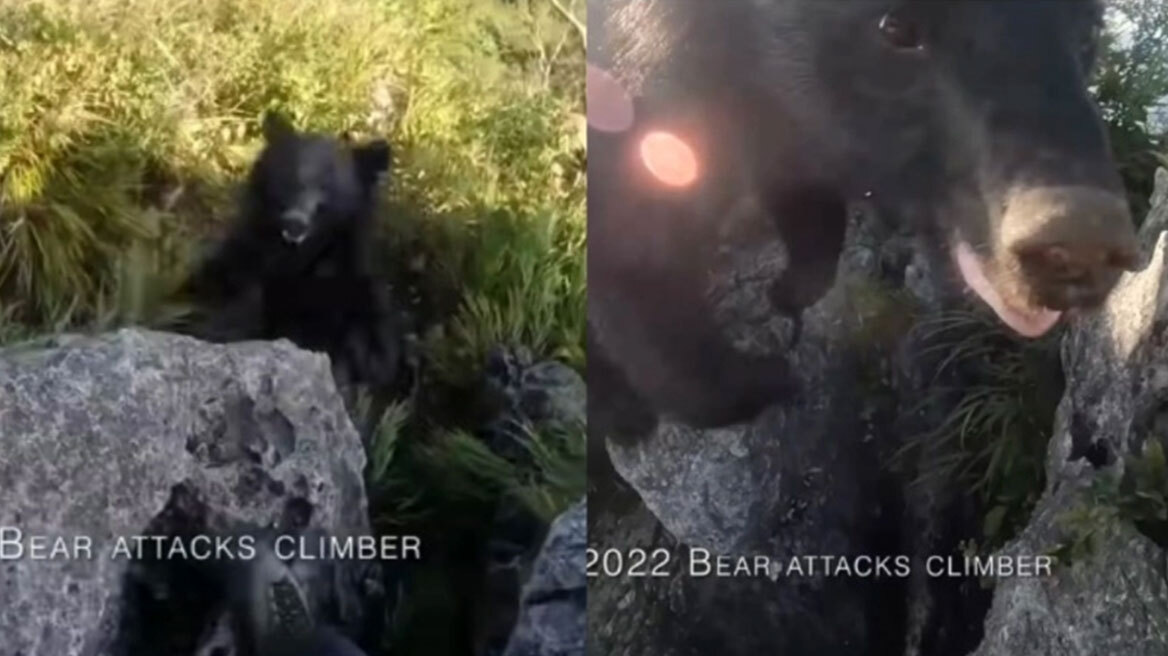 Απίστευτο βίντεο: Ορειβάτης έρχεται τετ α τετ με αρκούδα και την πετάει από βράχο