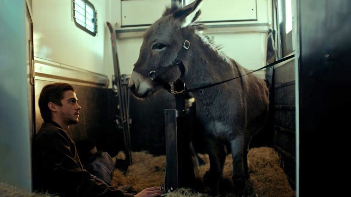 Ο οδηγός ταινιών του Δημήτρη Δανίκα