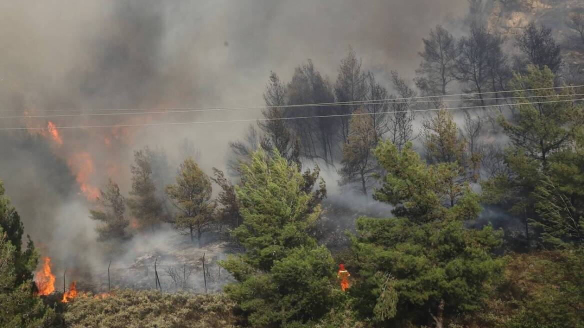 Φωτιά σε δασική έκταση στην Κομοτηνή