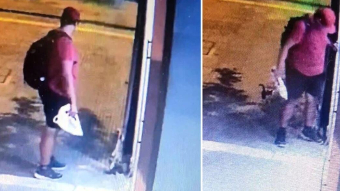 Θεσσαλονίκη: «Δεν σκότωσε αυτός το γατάκι» λέει ο δικηγόρος του 40χρονου που έμεινε ελεύθερος 