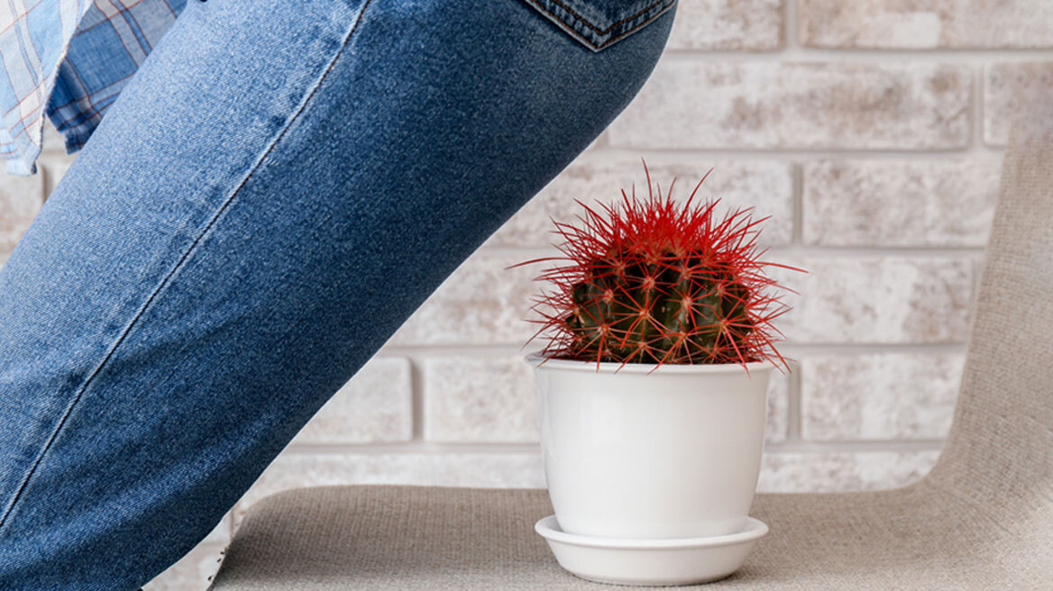 Μύθοι και αλήθειες για την αιμορροϊδική νόσο