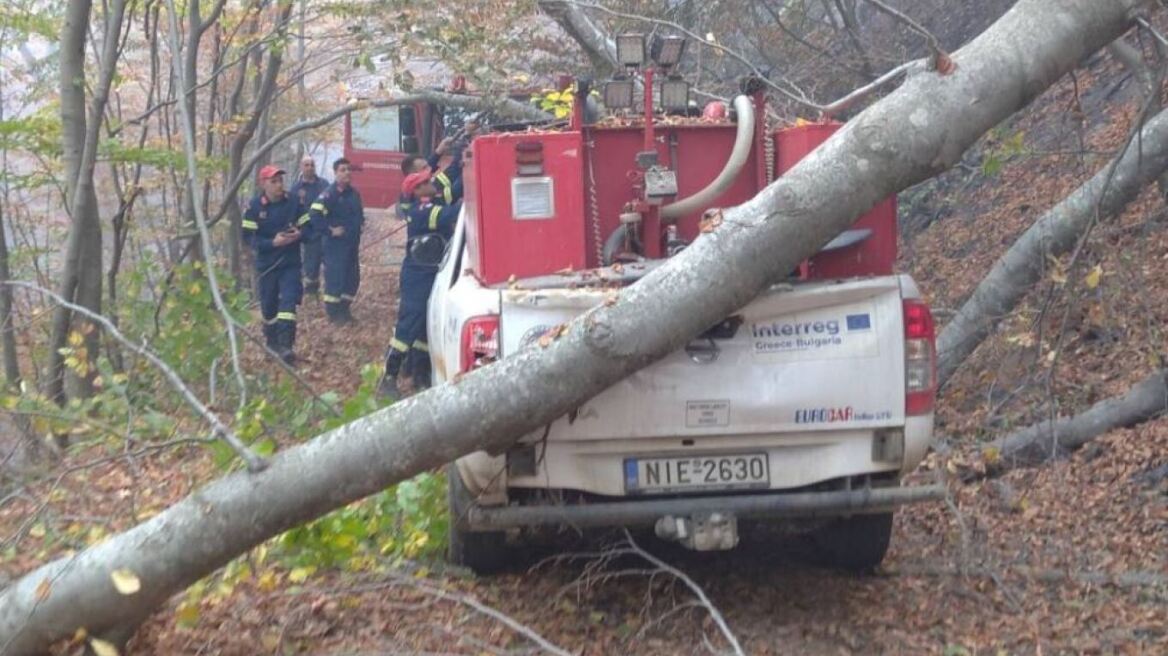 Ροδόπη: Η δορυφορική εικόνα της καμένης έκτασης των 17.000 στρεμμάτων στο Παπίκιο Όρος