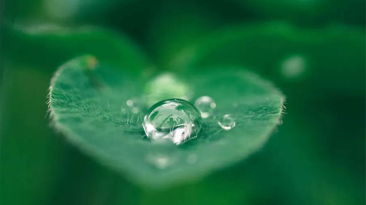 Υπεύθυνο επιχειρείν για τους ανθρώπους και τον πλανήτη