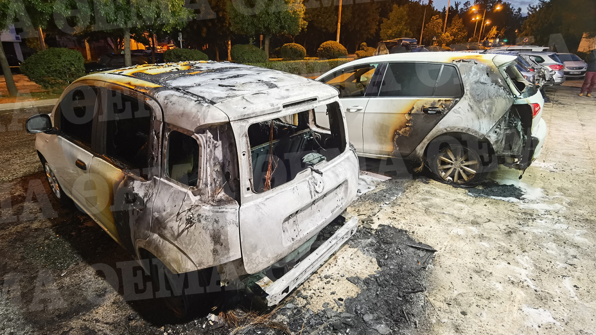Μία σύλληψη για την εμπρηστική επίθεση σε μάντρα αυτοκινήτων στην Καισαριανή