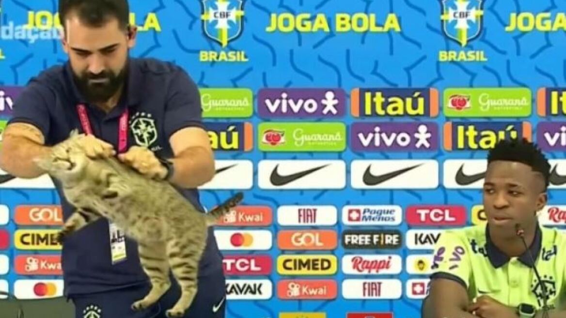 Μουντιάλ 2022: Γάτα «διέκοψε» τη συνέντευξη Τύπου του Βινίσιους και απομακρύνθηκε... άγαρμπα - Δείτε βίντεο