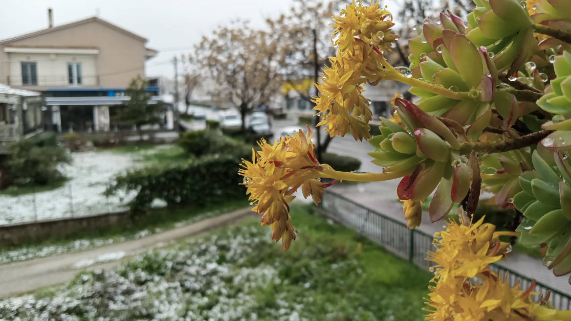 Καιρός: Σε ποια περιοχή η θερμοκρασία άγγιξε τους -7 βαθμούς