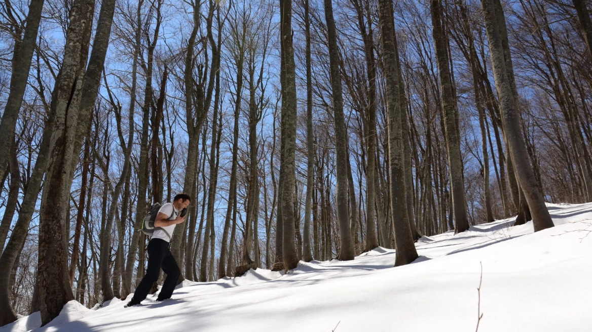Ανατολικό Πήλιο: 3 μαγευτικές πεζοπορικές διαδρομές στο βουνό των Κενταύρων 