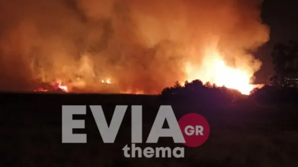 Φωτιά στα Ψαχνά Ευβοίας - Κινητοποίηση της Πυροσβεστικής