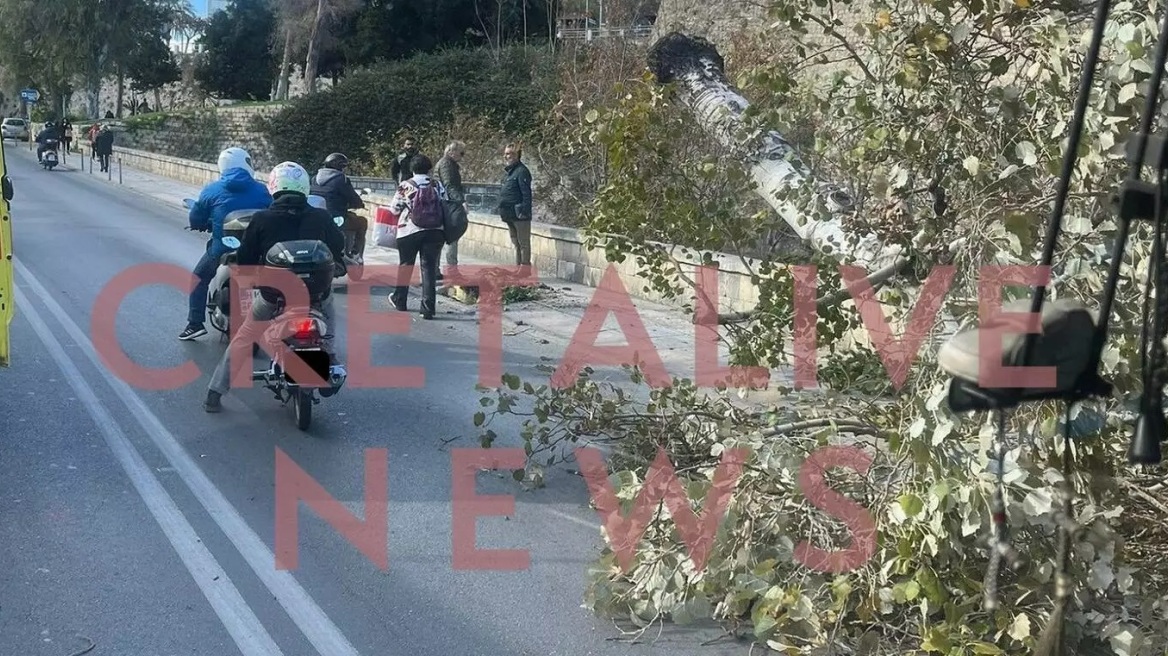 Ηράκλειο: Τραυματίστηκε διερχόμενος πολίτης από πτώση δέντρου