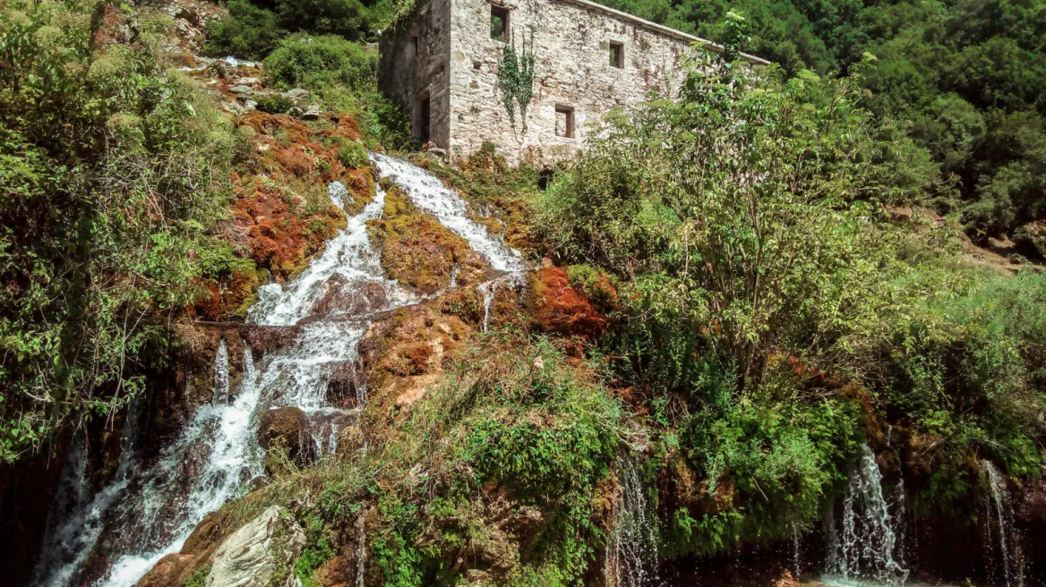 Πρέβεζα: Καλλιεργούμενες ποικιλίες και αναζήτηση νέων ιδεών