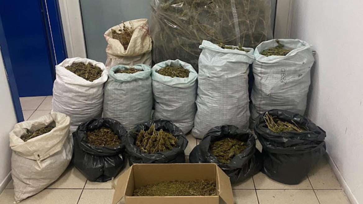 Κατερίνη: Τυχαία σύλληψη έφερε στο φως 48 κιλά κάνναβης στην Πιερία