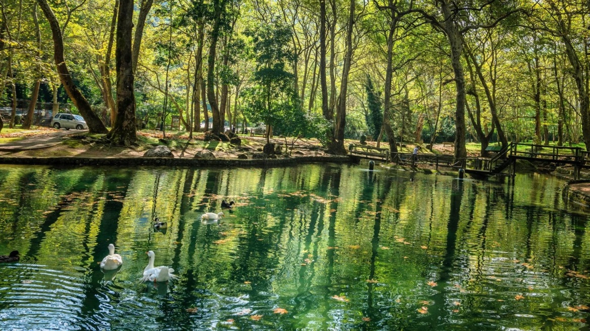 Άλσος Αγίου Νικολάου: Το αξιοθέατο της Νάουσας με τα ρυάκια και τις φλαμουριές