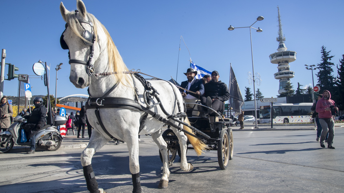 Θεσσαλονίκη: Αέρα υπαίθρου έφεραν, στο κέντρο της πόλης, 30 άλογα διαφόρων φυλών	