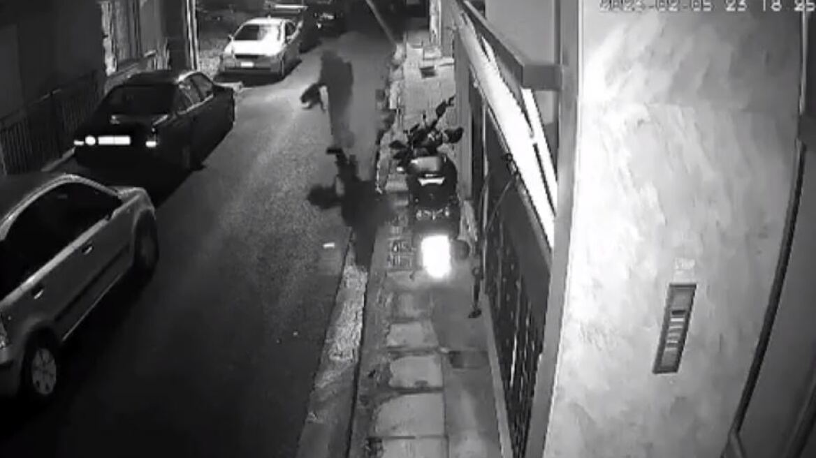 Βοτανικός: Συνελήφθη ο άνδρας που κακοποίησε και σκότωσε τη γάτα