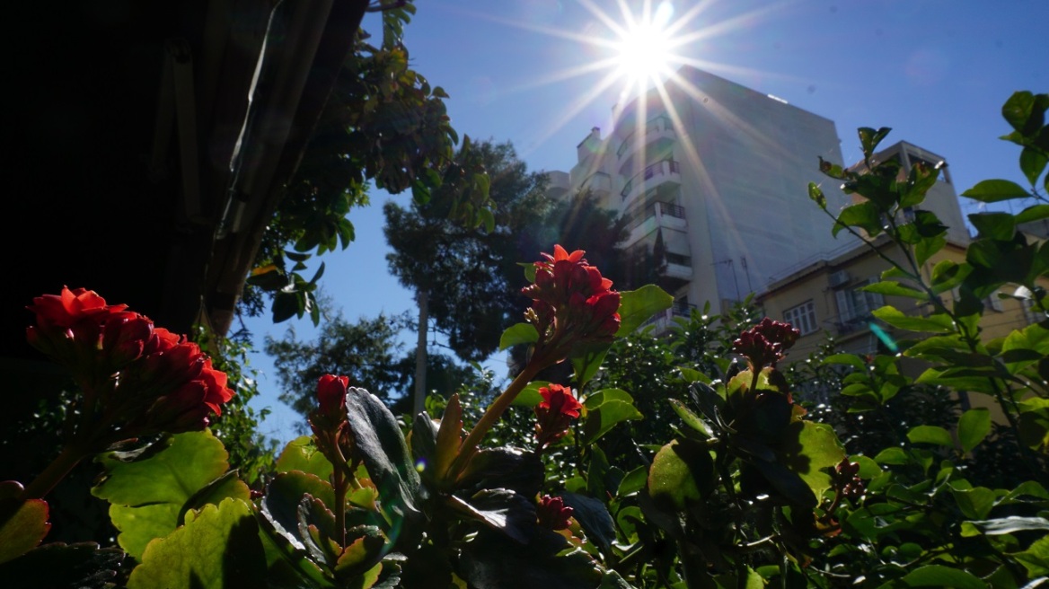 Καιρός: «Μύρισε άνοιξη» με θερμοκρασίες που ξεπέρασαν τους 22 βαθμούς Κελσίου