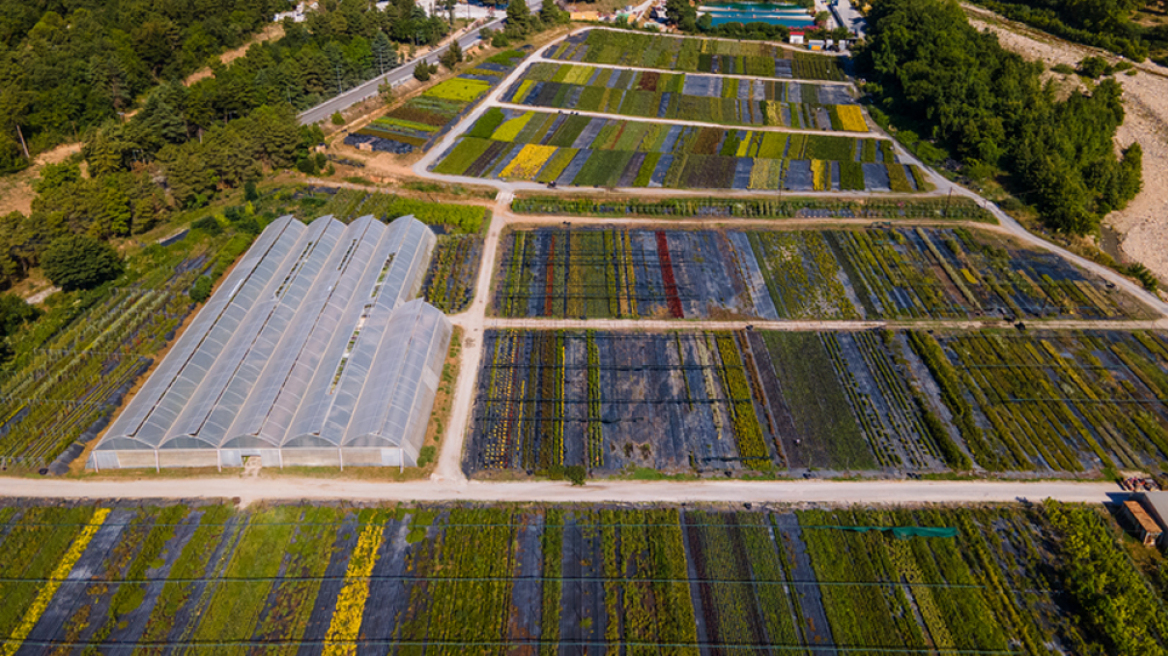 Υπεύθυνη μεταλλευτική δραστηριότητα: Το παράδειγμα της μεθόδου παράλληλης περιβαλλοντικής αποκατάστασης της Ελληνικός Χρυσός 