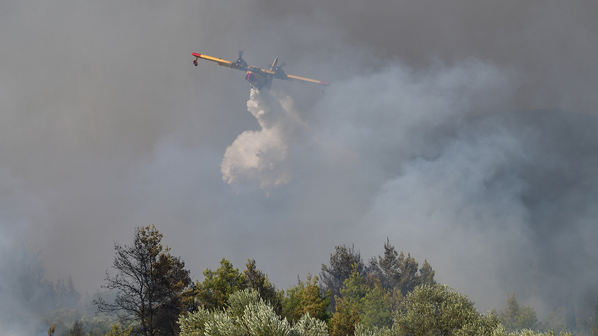 Αχαΐα: Οριοθετήθηκε η φωτιά στο Κυπαρίσσι