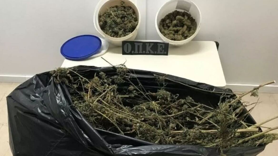 Τρία κιλά κάνναβης σε αγρόκτημα στην Πέλλα