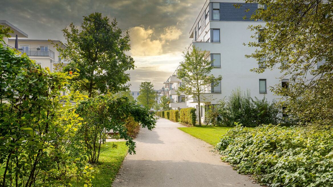 Περιβάλλον: Δάση, δέντρα και χώροι πρασίνου «επένδυση» στην υγεία παιδιών και πολιτών