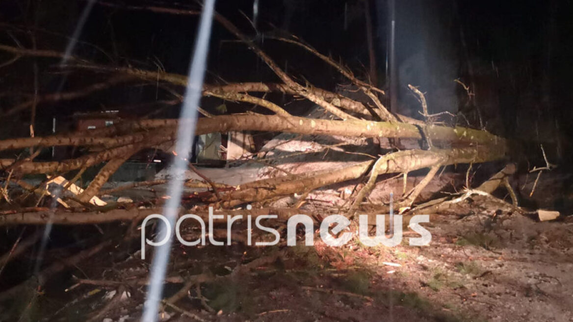 Ηλεία: Νεκρός ηλικιωμένος από πτώση δέντρου στα Κρέστενα