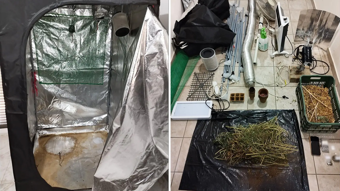 Θήβα: Καλλιεργούσε κάνναβη μέσα στην ντουλάπα της αποθήκης του
