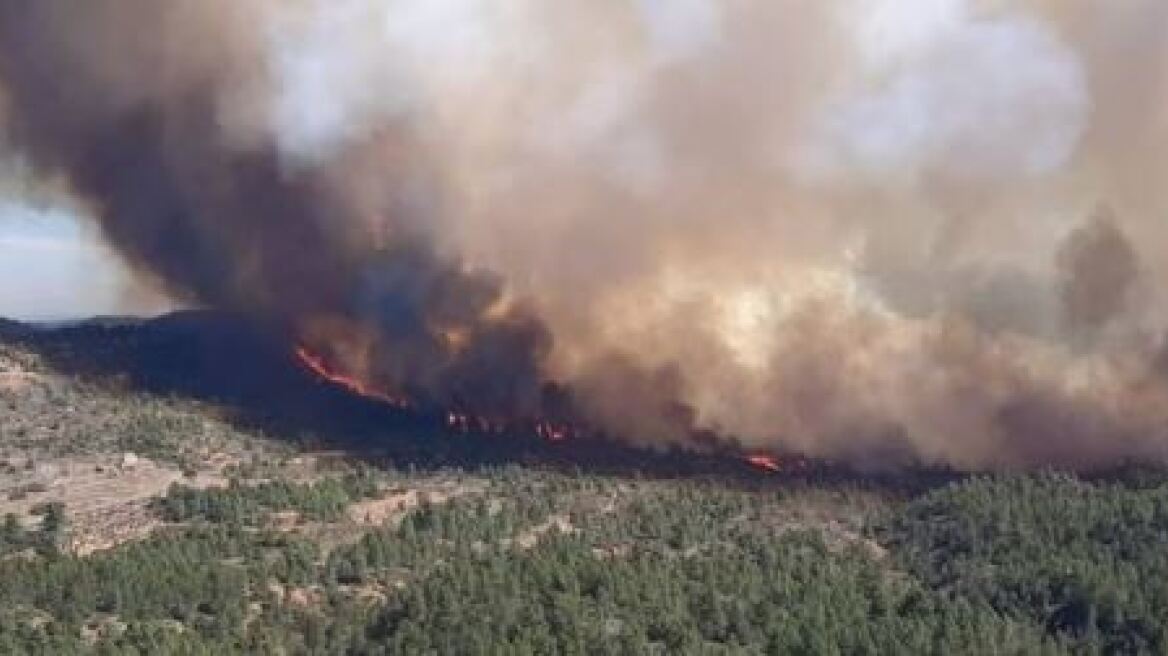 Ισπανία: 71 πυρκαγιές καίνε ακόμα - Τεράστια οικολογική καταστροφή 