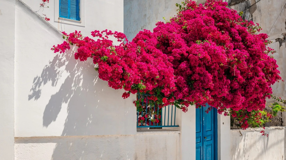 5 νησιά κοντά στην Αθήνα για τα Σαββατοκύριακα της άνοιξης