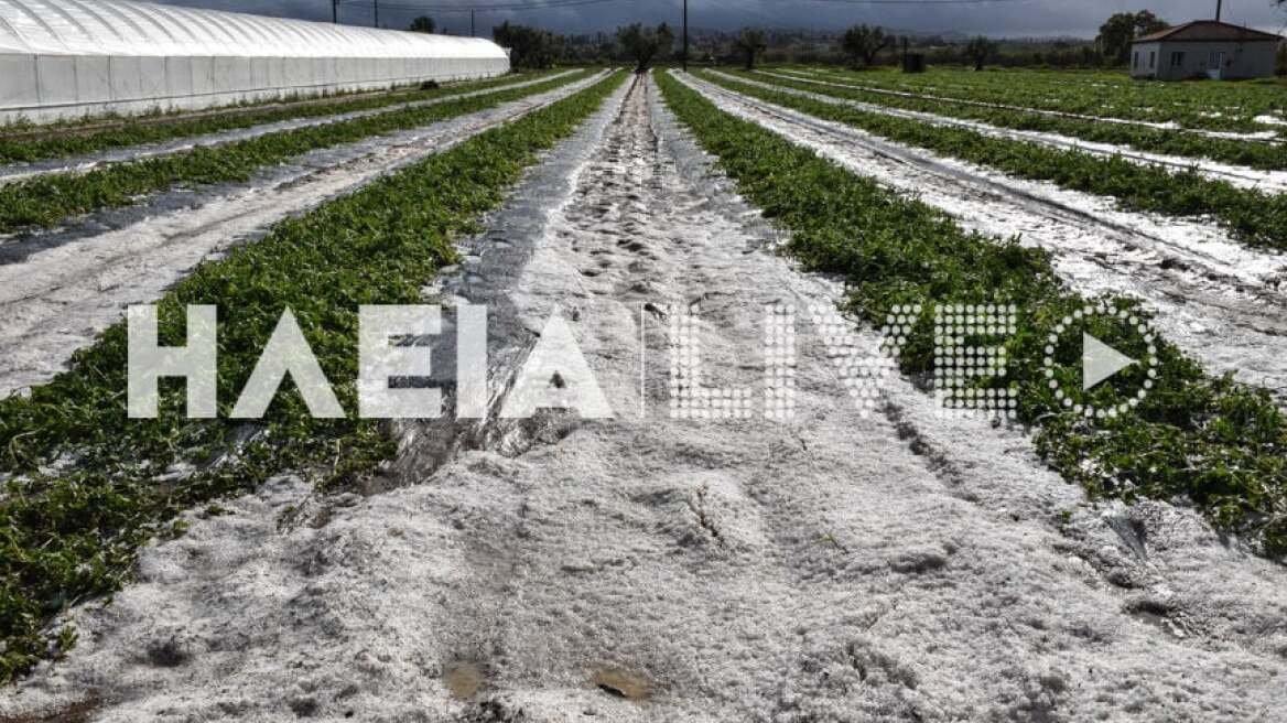 Ηλεία: Σφοδρή χαλαζόπτωση προκάλεσε μεγάλες καταστροφές σε καλλιέργειες