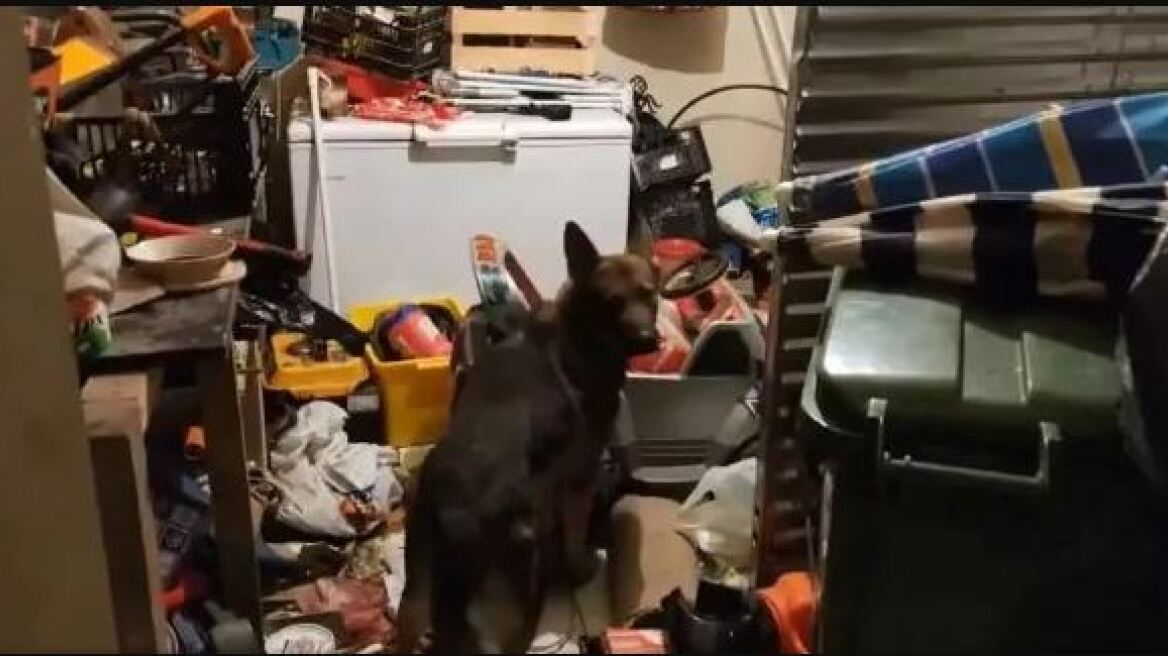 Κιλκίς: O σκύλος Vector εντόπισε κοκαΐνη και κάνναβη σε παιδικό αυτοκινητάκι