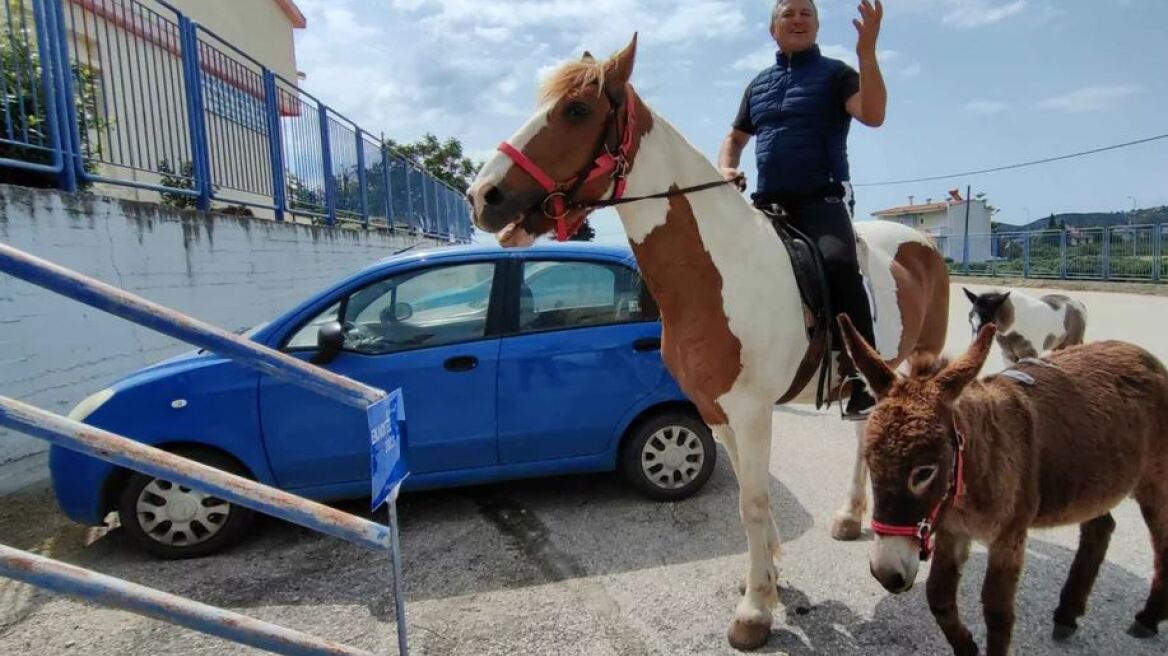 Εκλογές 2023: Αγρότης με... άλογο και γαϊδούρι σε εκλογικό κέντρο στο Ναύπλιο 