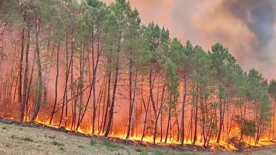 Ισπανία: Σε ύφεση η μεγάλη δασική πυρκαγιά στην Εξτρεμαδούρα