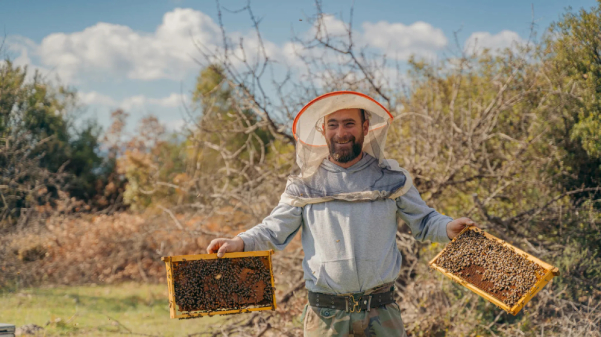 Μελισσοκομία: Ανοιχτή η πλατφόρμα για αιτήσεις οικονομικής ενίσχυσης έως τα τέλη Ιουνίου