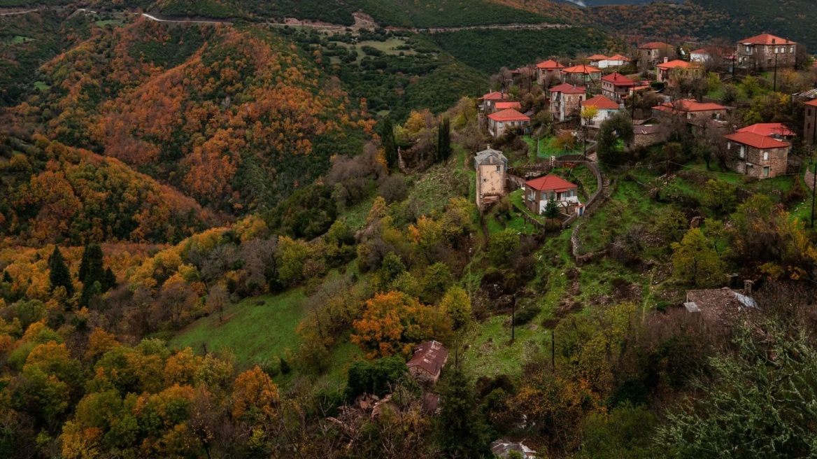 Τα Άγρια Χόρτα της ελληνικής γης: Τα είδη, η σωστή αξιοποίηση, οι θεραπευτικές ιδιότητες