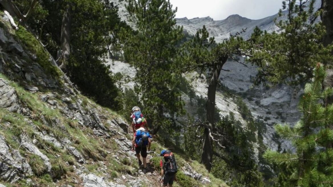 Επιχείρηση της Πυροσβεστικής για άνδρα που τραυματίστηκε στον Όλυμπο