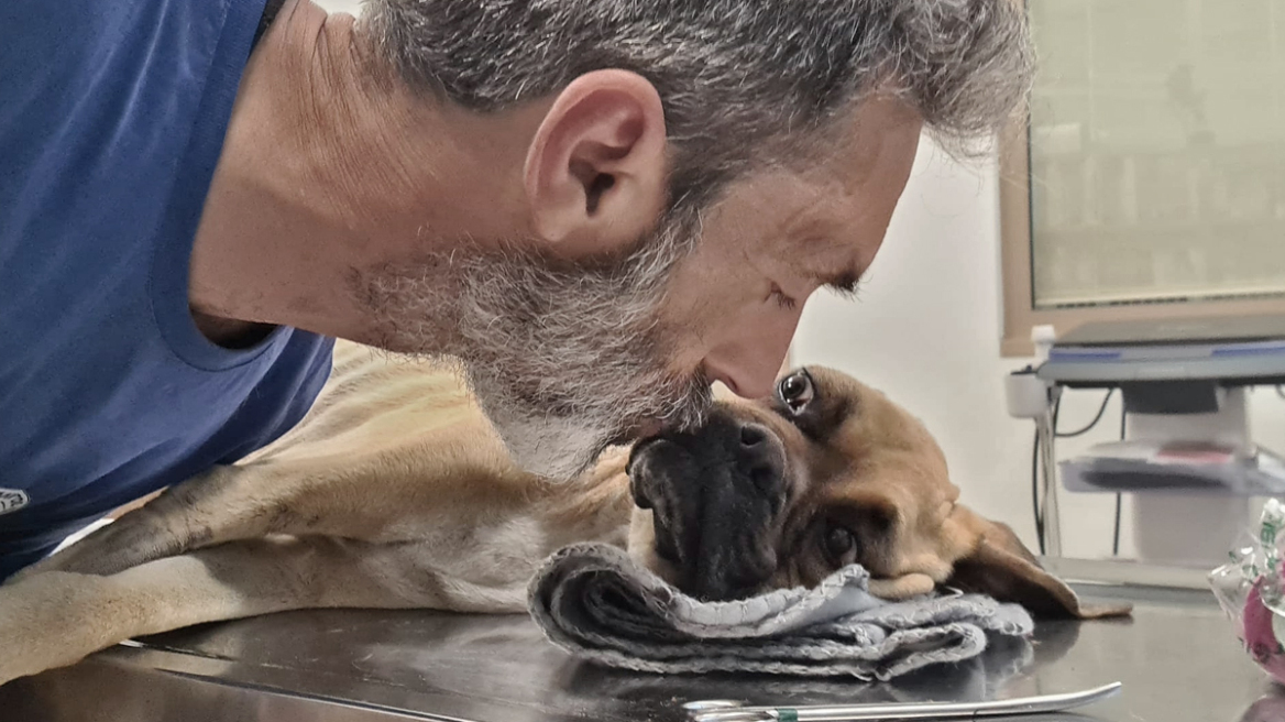 Ηλεία: Το τελευταίο βλέμμα της Νίκης - Συγκλονίζει η φωτογραφία του προέδρου της Φιλοζωικής