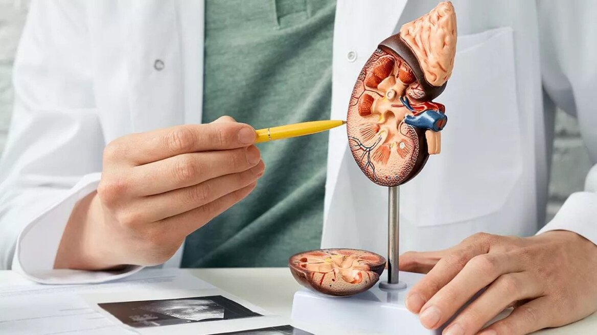 Λίθοι ουροποιητικού: Σύγχρονες τεχνικές μειώνουν μετεγχειρητικό πόνο και διάρκεια νοσηλείας