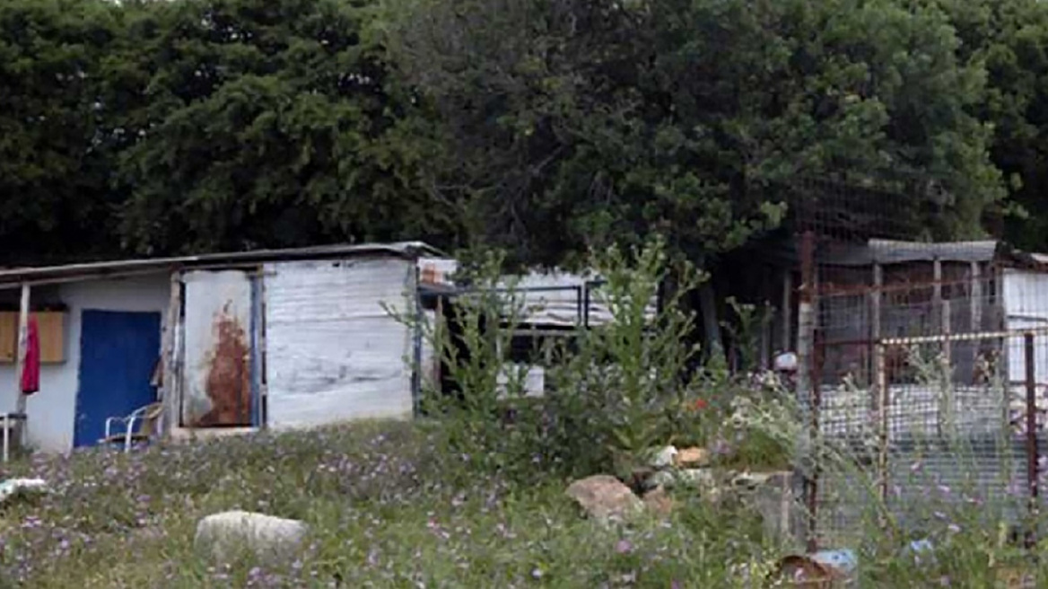 Καβάλα: Θρίλερ με τον θάνατο της 68χρονης κτηνοτρόφου - Δολοφονήθηκε ή χτυπήθηκε από το κριάρι της;