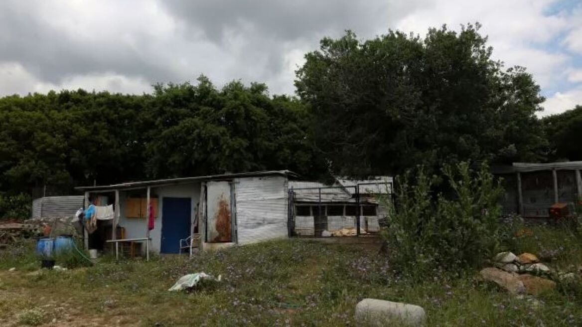 Καβάλα: Είχε μαρτυρικό θάνατο όπως ήταν και η ζωή της, λέει ο αδερφός της 68χρονης κτηνοτρόφου