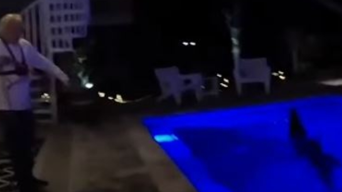 Φλόριντα: Έδωσαν «μάχη» με κροκόδειλο για να τον βγάλουν από πισίνα σπιτιού - Δείτε βίντεο