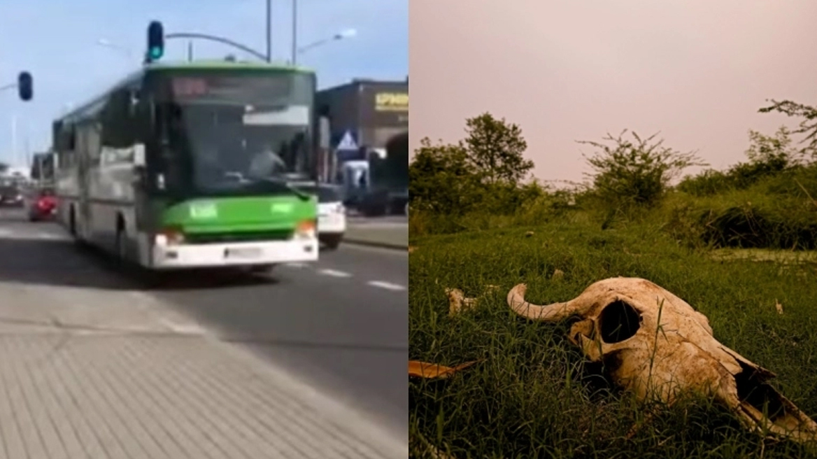 Τέλος το λεωφορείο του διαβόλου που είχε προορισμό την παραθαλάσσια... Κόλαση