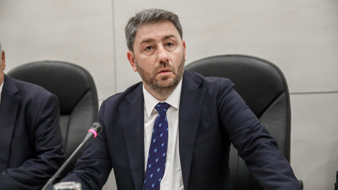 Ανδρουλάκης: Με ισχυρό ΠΑΣΟΚ θα υπάρχει αξιόπιστη, προοδευτική αντιπολίτευση σε πρώτη φάση