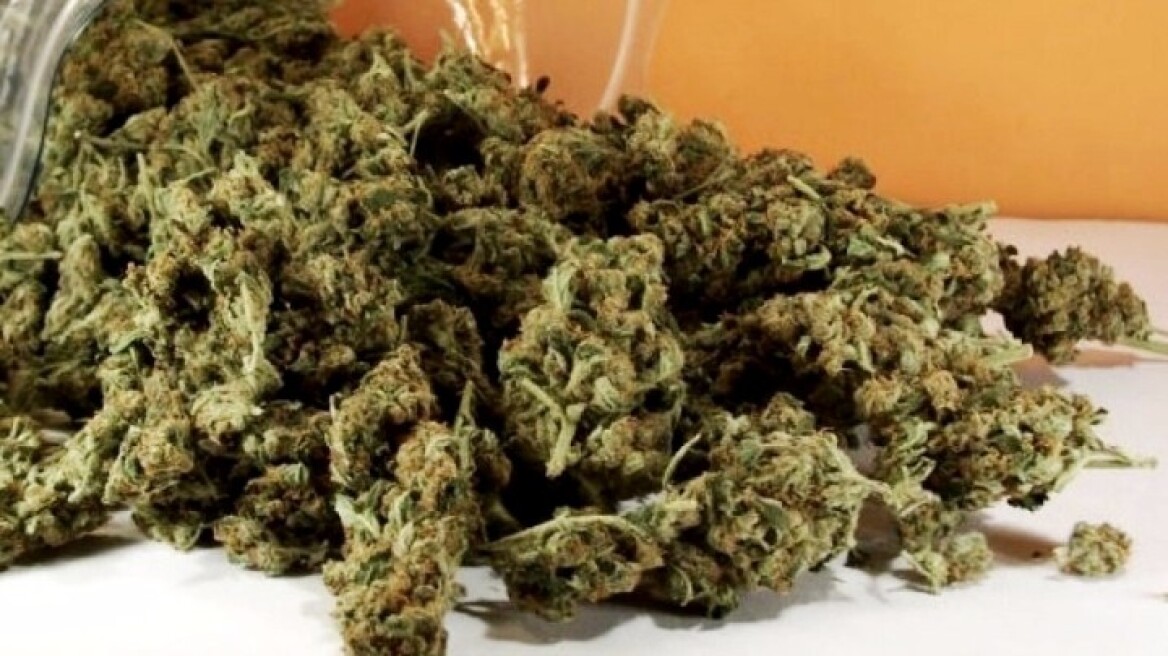 Ο σκύλος εντόπισε «ορφανό» δέμα με τρία κιλά κάνναβη στη Ρόδο