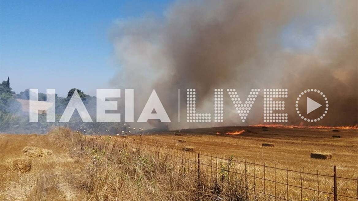 Αμαλιάδα: Φωτιά σε αγροτοδασική έκταση στην Αετορράχη