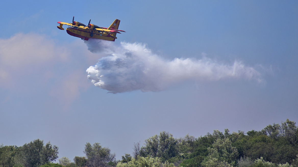 Πυρκαγιά στην Υλίκη Βοιωτίας - Επί τόπου ισχυρή δύναμη της Πυροσβεστικής